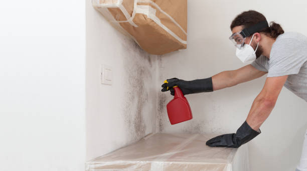 Professional Bathroom Mold Removal technician working in Bulverde, TX